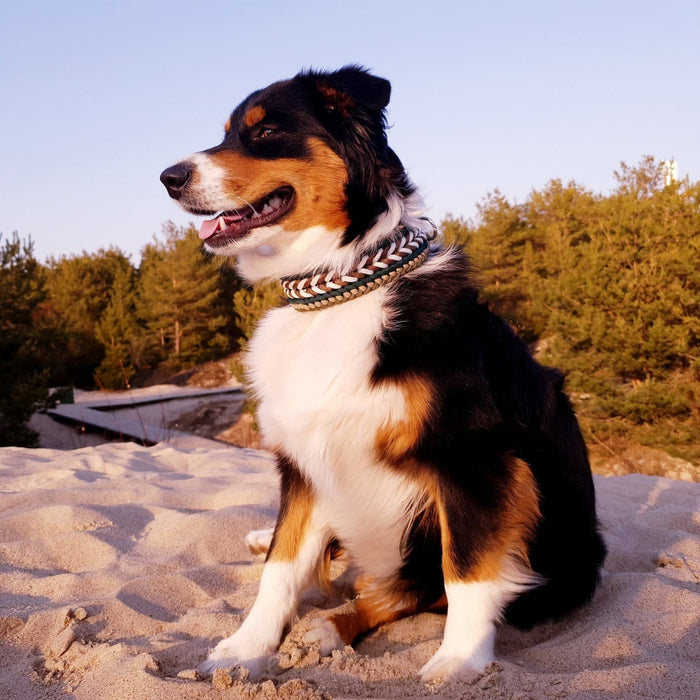 Collar de paracord para perros