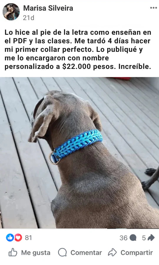 Testimonio 1