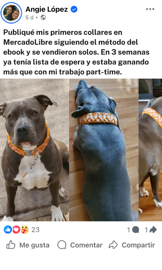 Testimonio 4